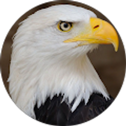 Profile photo of Rich Wegner