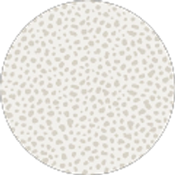 Profile photo of Brad Thompson