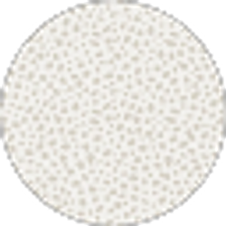 Profile photo of Brad Thompson