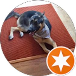 Profile photo of Mike T