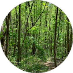 Profile photo of L L Peterson