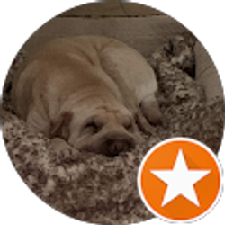 Profile photo of Ryan Murillo