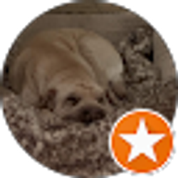 Profile photo of Ryan Murillo