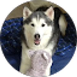 Profile photo of Tony O