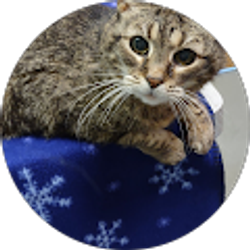 Profile photo of Ellen Beard