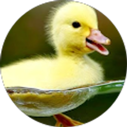 Profile photo of Linda B Wright