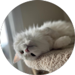 Profile photo of Mary Forbes