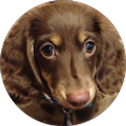 Profile photo of Krista Brown
