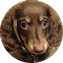 Profile photo of Krista Brown