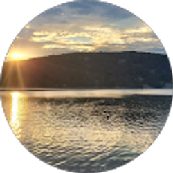 Profile photo of Rauf Rezai