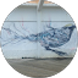 Profile photo of Lauren Holzem