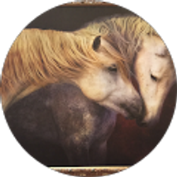 Profile photo of Alex's Waicosky