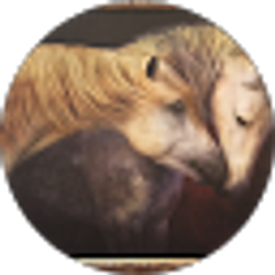 Profile photo of Alex's Waicosky