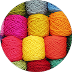 Profile photo of Judy