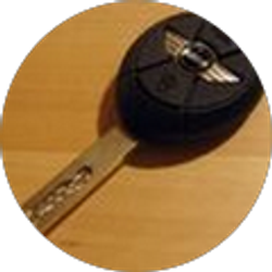 Profile photo of David