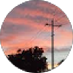 Profile photo of eric mast