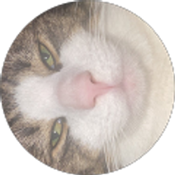 Profile photo of Mia