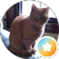 Profile photo of Cindy Merris-smith