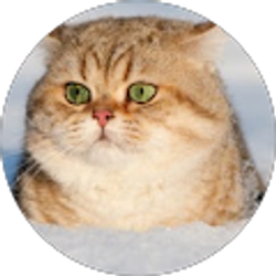 Profile photo of Charisma Thomas