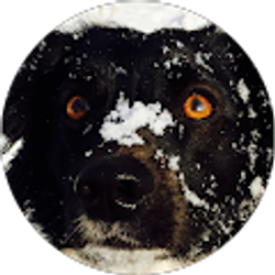 Profile photo of Lewis Gillesby