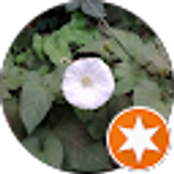 Profile photo of Rachel Lucas