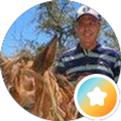 Profile photo of Tony D'Angelo