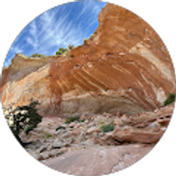 Profile photo of jeff flohr