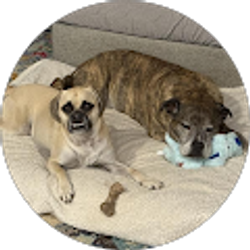 Profile photo of Jessamy Huckel