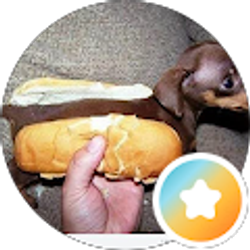 Profile photo of Whitney Reese