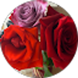 Profile photo of Lisa Parrish