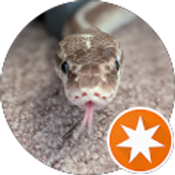 Profile photo of Miranda