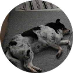 Profile photo of Megan Hoover