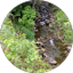 Profile photo of Tim and Christina Kahle