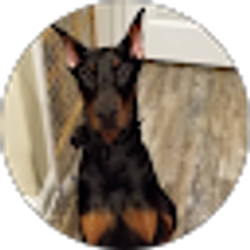 Profile photo of Virgil Morse