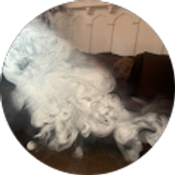 Profile photo of Chess From330