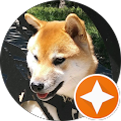 Profile photo of SMM