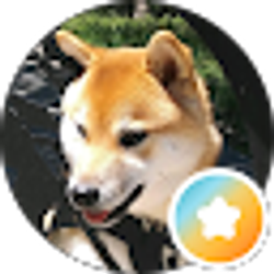 Profile photo of SMM