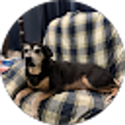 Profile photo of Cris