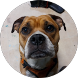 Profile photo of Michael Thomson