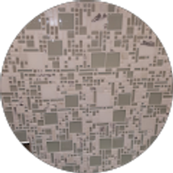 Profile photo of FEDup