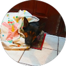 Profile photo of Hernan Ortega