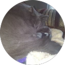 Profile photo of Eliot Vant Hul