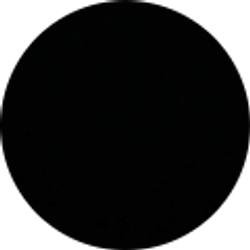 Profile photo of John Pollack