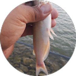 Profile photo of Angry Bear Lopez