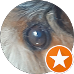 Profile photo of Jeremy Knight