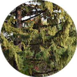 Profile photo of Tanner Smith