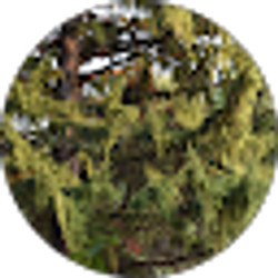 Profile photo of Tanner Smith