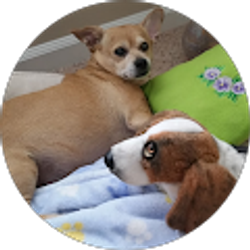 Profile photo of A. B.