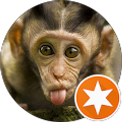 Profile photo of PAPPA-D