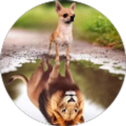 Profile photo of mary dimmick